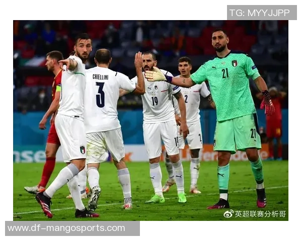 2016年欧洲杯精彩对决比利时与意大利的激烈较量回顾